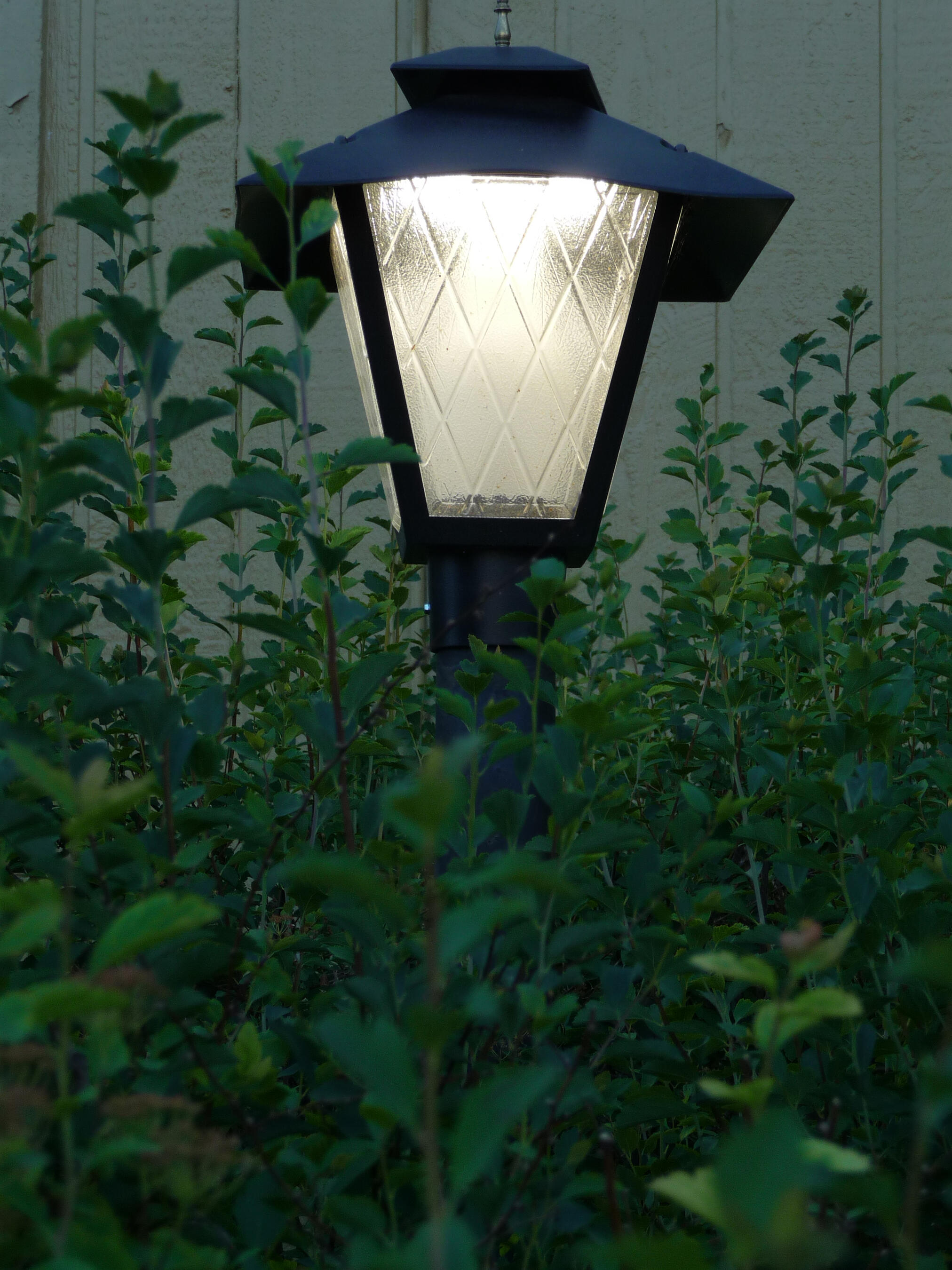 "Beacon of Light"